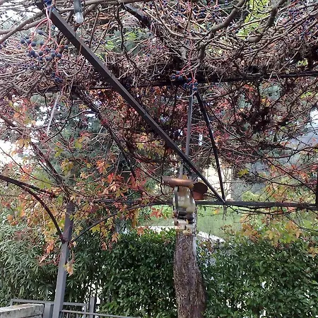 Bed and breakfast Stefy Dervio